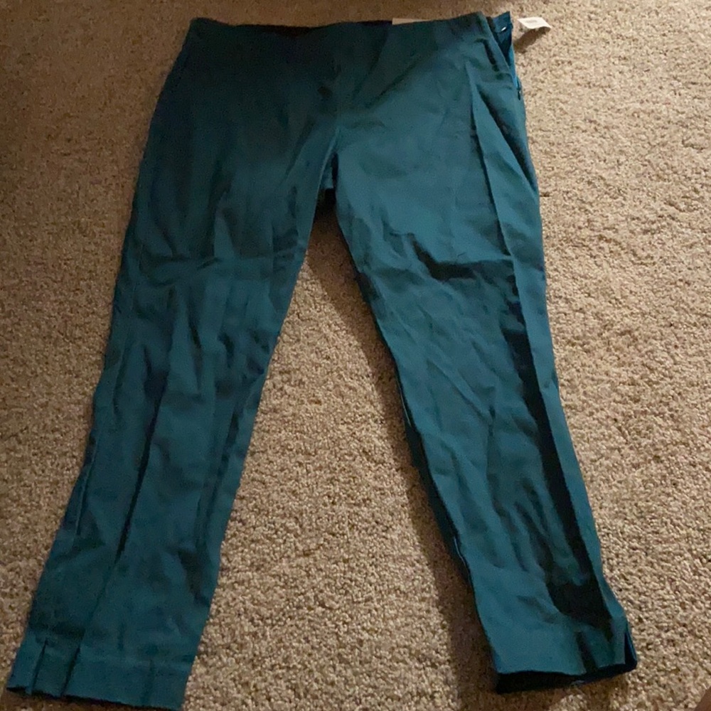 Brand new never worn aqua khaki pants